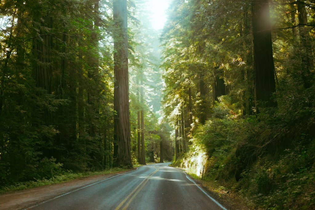 Fires Floods and Breaking the&nbsp;Silence.